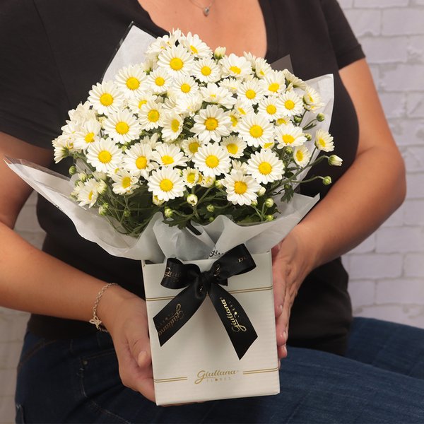 Margaridinha Plantada Branca no Box Primor