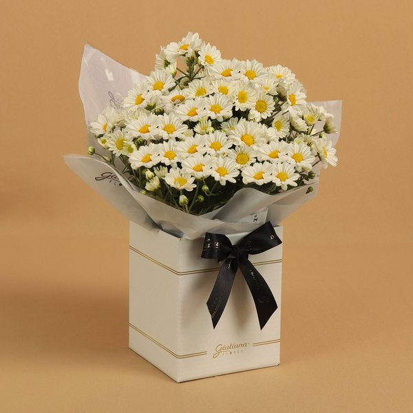 Margaridinha Plantada Branca no Box Primor