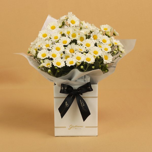 Margaridinha Plantada Branca no Box Primor