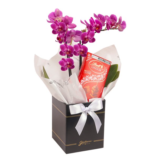 Mini Orquídea Rara Lilás e Lindt no Box Primor