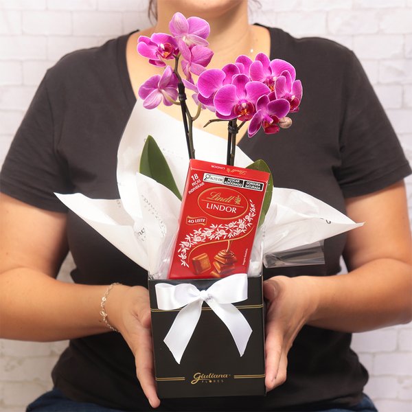 Mini Orquídea Rara Lilás e Lindt no Box Primor