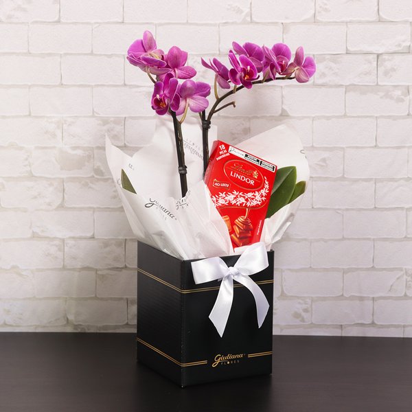 Mini Orquídea Rara Lilás e Lindt no Box Primor