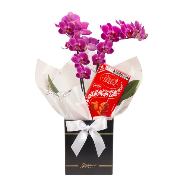 Mini Orquídea Rara Lilás e Lindt no Box Primor