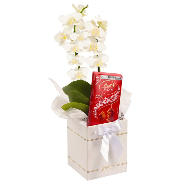 Mini Orquídea Rara Branca e Lindt no Box Primor