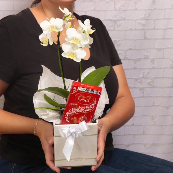 Mini Orquídea Rara Branca e Lindt no Box Primor
