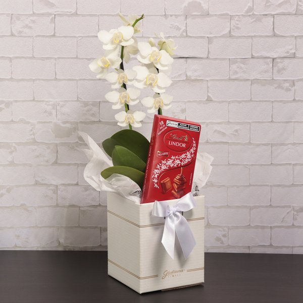 Mini Orquídea Rara Branca e Lindt no Box Primor