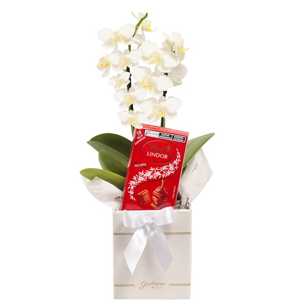 Mini Orquídea Rara Branca e Lindt no Box Primor