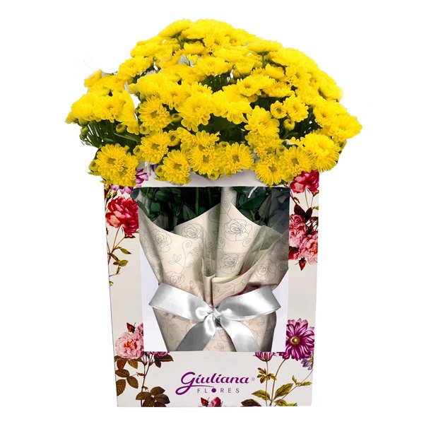 Mini Margaridinha Amarela Plantada na Bag Floral