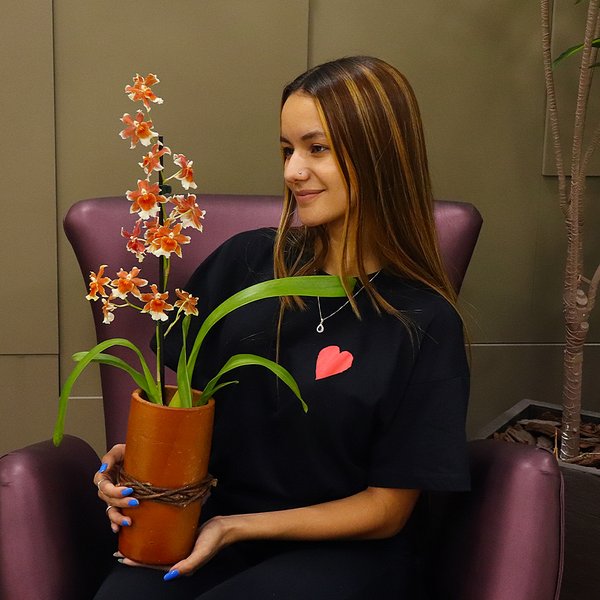 Orquídea Havaiana no Vaso Tubo