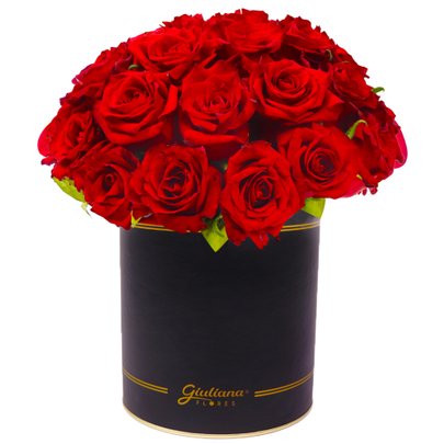Rosas Vermelhas no Box Giu