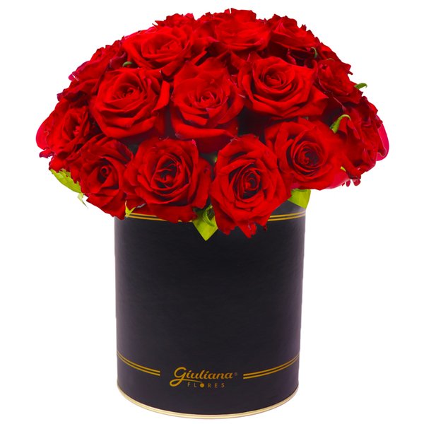Rosas Vermelhas no Box Giu