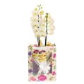 Orquídea Phalaenopsis Branca na Bag Pétalas