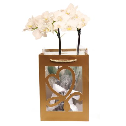 Mini Orquídea Rara Branca na Sacola Gold