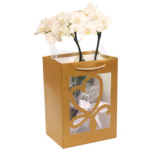 Mini Orquídea Rara Branca na Sacola Gold