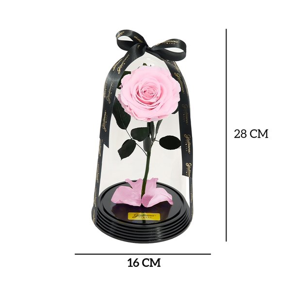 Original Rosa Encantada Cor de Rosa
