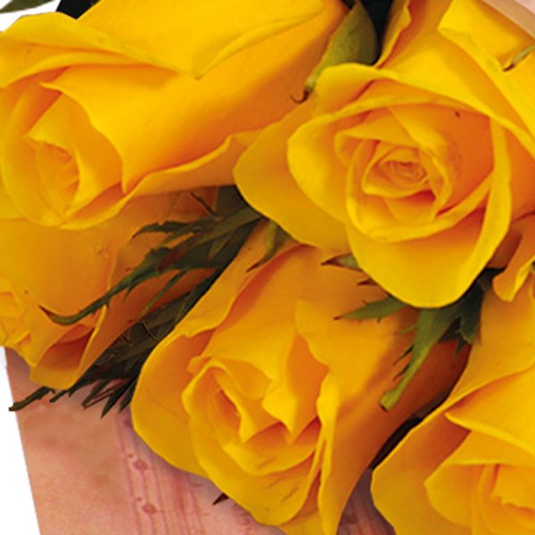 Buquê Partitura de Rosas Nacionais Amarelo