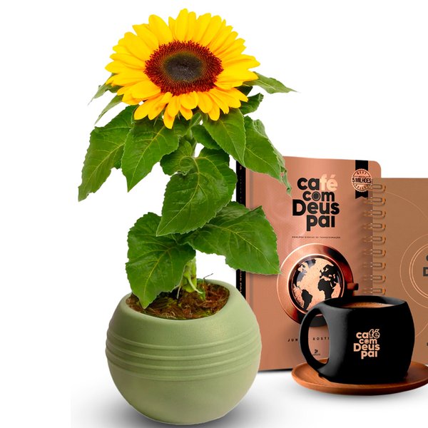 Vaso Girassol com Kit Planner e Caderno Café com Deus Pai