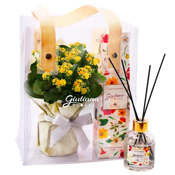 Kalanchoe Amarelo e Difusor da Linha Aromática Giuliana Flores