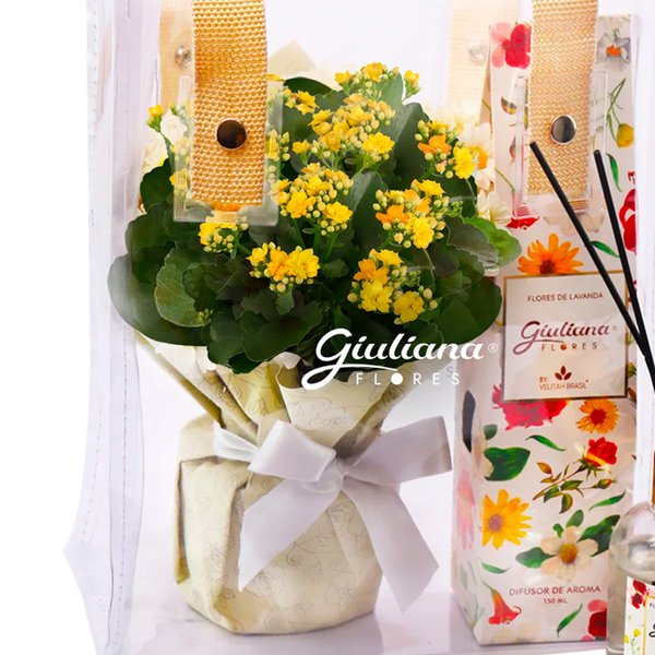 Kalanchoe Amarelo e Difusor da Linha Aromática Giuliana Flores