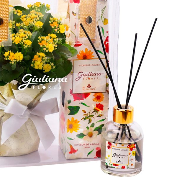 Kalanchoe Amarelo e Difusor da Linha Aromática Giuliana Flores