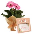 Gérbera Plantada Pink e Porta Retrato Mãe Coração 10x15