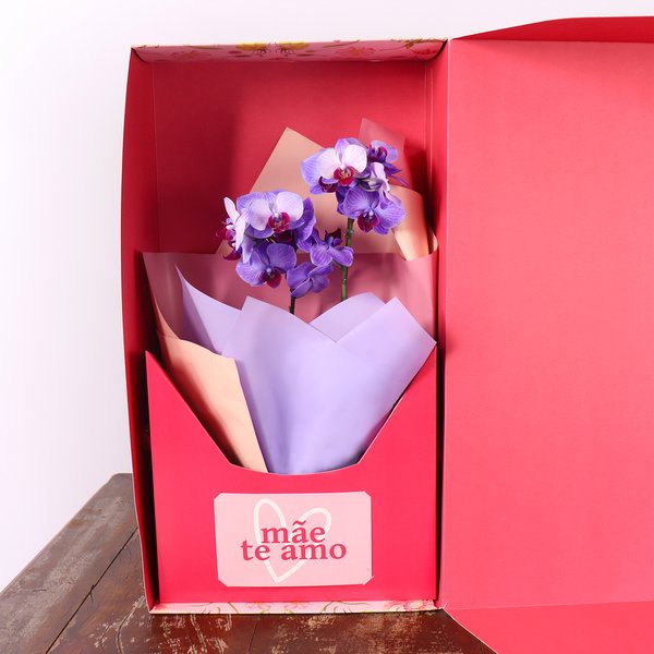 Mini Rara Violeta no Box Mãe Te Amo