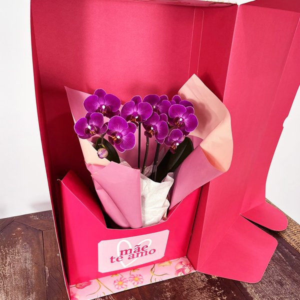 Mini Rara Lilás no Box Mãe Te Amo