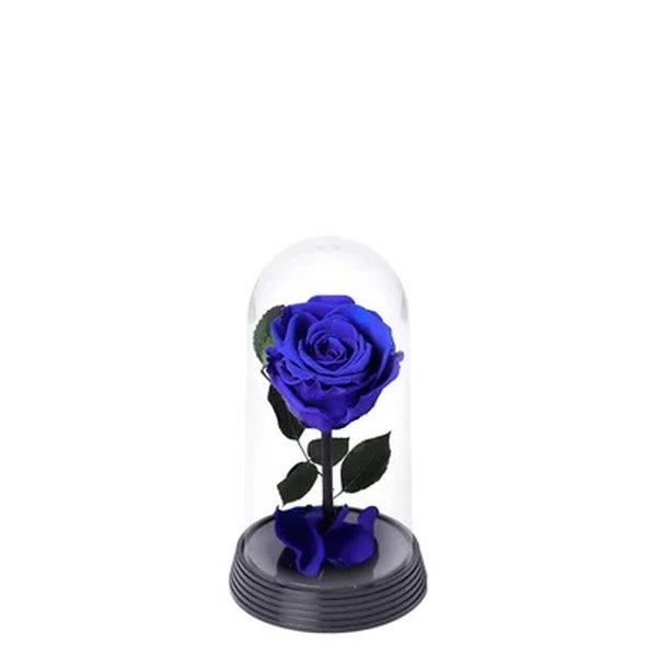 A Bela Rosa Encantada Azul e Livro Café com Deus Pai