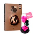 A Bela Rosa Encantada Pink Mãe Te Amo e Livro Café com Deus Pai