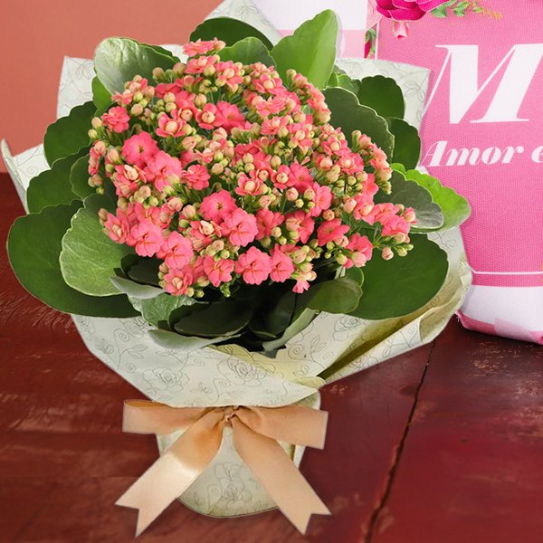 Kit Almofada e Caneca Mãe Amor Eterno e Kalanchoe