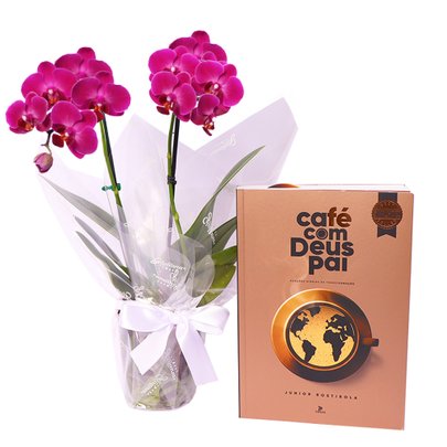 Mini Rara Lilás e Livro Café com Deus Pai