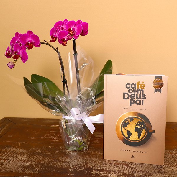 Mini Rara Lilás e Livro Café com Deus Pai
