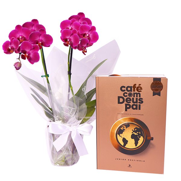 Mini Rara Lilás e Livro Café com Deus Pai