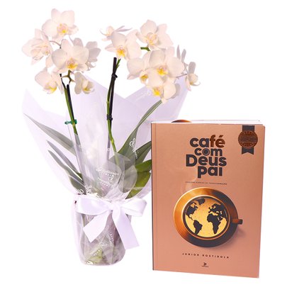 Mini Rara Branca e Livro Café com Deus Pai