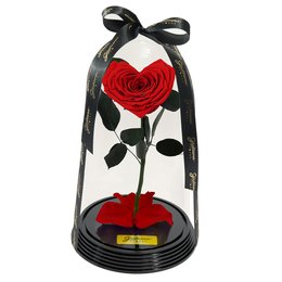 Imagem de Coração de Rosa Encantada Vermelha