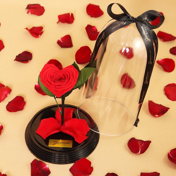 Coração de Rosa Encantada Vermelha