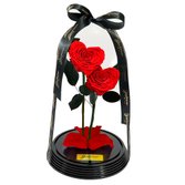 Dupla de Coração de Rosas Encantadas Vermelhas