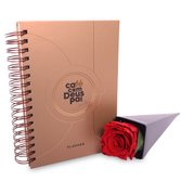 Cone de Rosa Encantada Vermelha e Planner Café com Deus Pai