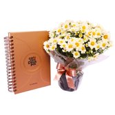 Vaso de Margaridinha Branca e Planner Café com Deus Pai