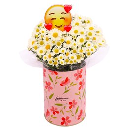 Imagem de Margaridinha Branca no Box Florescer e Placa Emoji Coração