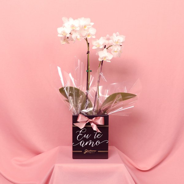 Orquídea Phalaenopsis Branca no Box Eu Te Amo