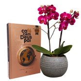 Formidável Orquídea Mini Rara Lilás e Livro Café com Deus Pai