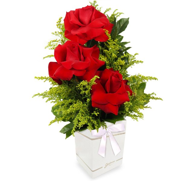 3 Lindas Rosas no Box