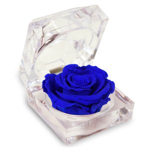 Imagem de Diamante de Mini Rosa Encantada Azul