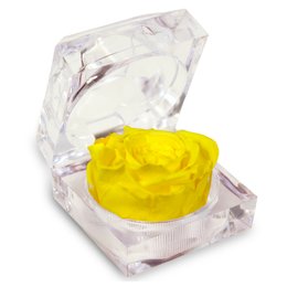 Imagem de Diamante de Mini Rosa Encantada Amarela