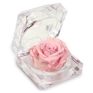 Imagem de Diamante de Mini Rosa Encantada Cor de Rosa