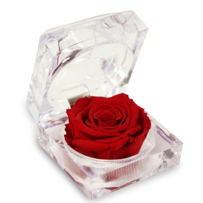 Diamante de Mini Rosa Encantada Vermelha