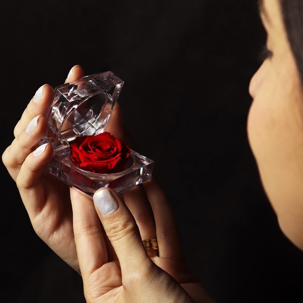 Diamante de Mini Rosa Encantada Vermelha