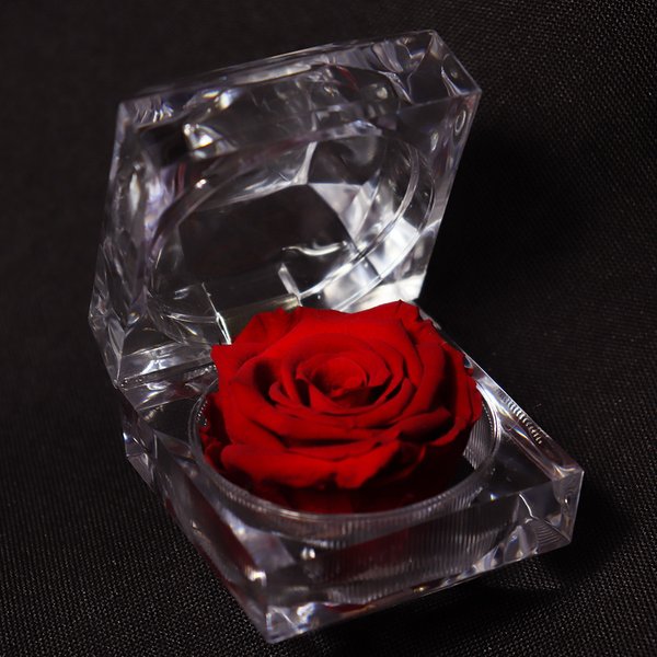 Diamante de Mini Rosa Encantada Vermelha