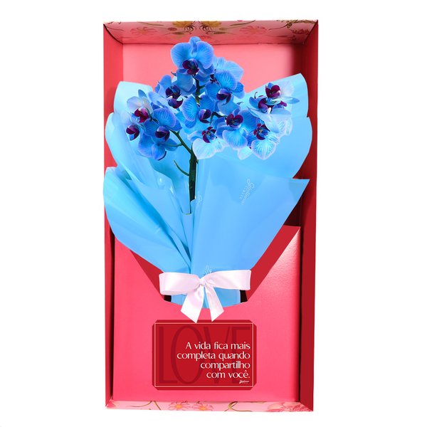 Mini Orquídea Rara Azul Virtuosa no Box Namorados